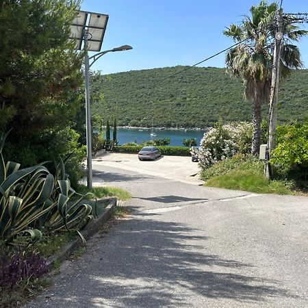 Lazarus Bigova Apartments Tivat Exteriör bild