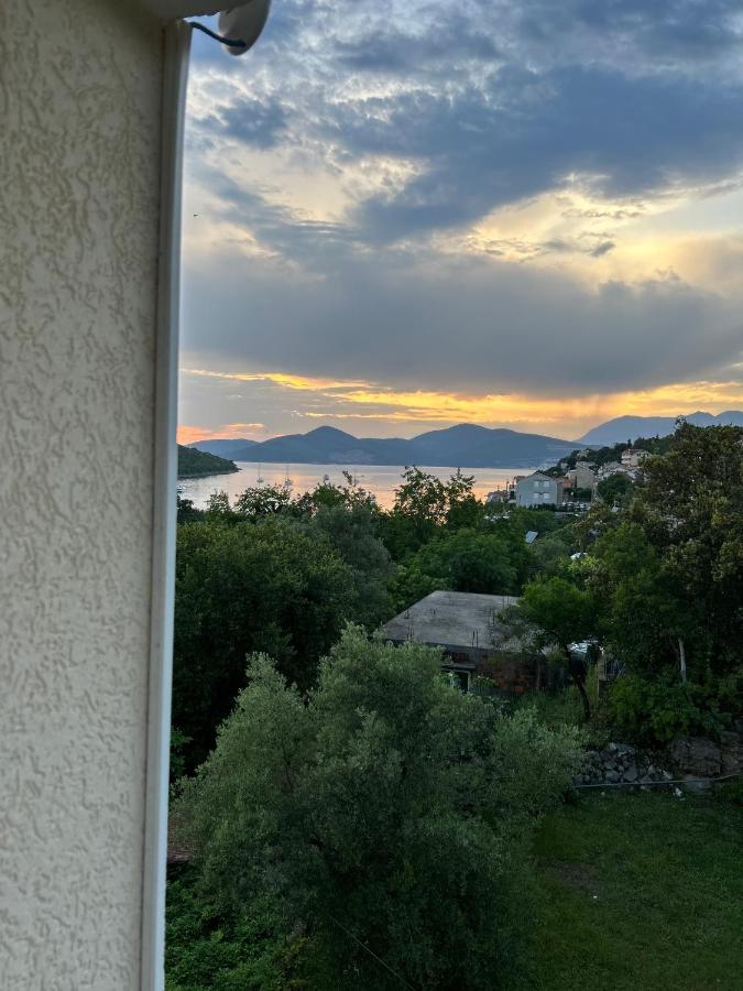 Lazarus Bigova Apartments Tivat Exteriör bild